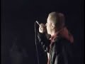 firma live koncert krakow styczen firma live koncert krakow styczen