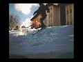 snowskate + rail = fuuun