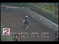 [調教] 081029 アサクサキングス 「天皇賞・秋」前追い切り