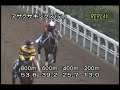 [調教] 081029 アサクサキングス 「天皇賞・秋」前追い切り