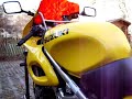 Meine suzuki tl 1000 s