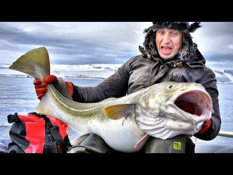 рыбалка в баренцевом море рыбачий рыбалка во баренцевом град рыбачий
