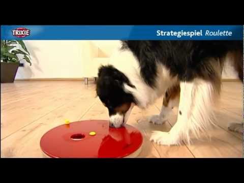 Dog Activity Roulette Interaktives Hundespielzeug Intelligenzspielzeug