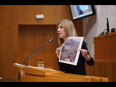 Vaquero: “Ocho años sin planificación, sin prevención, sin regulación y sin gestión forestal”