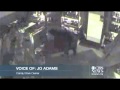 Black bear carefully breaks into candy store - YouTube