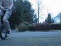 minivid 2.wmv