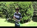 Max, el Jedi Max, el Jedi