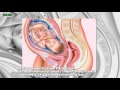 тренировочные схватки на 30 неделе беременности тренировочные схватки на 30 неделе беременности