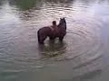 Caida del caballo Caida del caballo