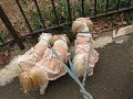 まったり。。。な奈々子ファミリー