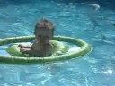 Sofia swimming