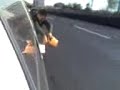 Sin gasolina