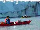 Arctic Seal Peek-a-boo - part.2