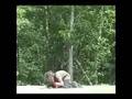 National Geographic --- Trolls National Geographic --- Trolls