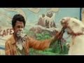Première bande-annonce du Marsupilami... sans l'animal