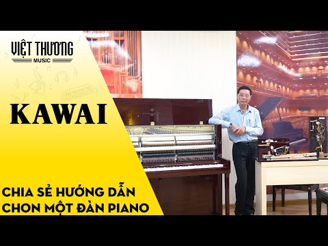 Chia sẻ hướng dẫn cách chọn mua một đàn piano