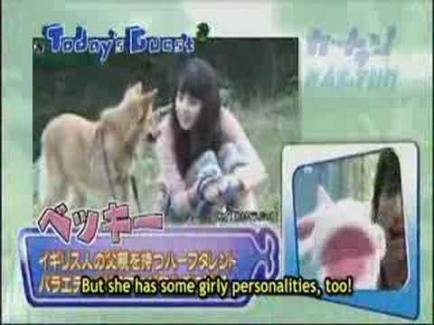 junnokun kicked by koki