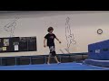 Phil Gibbs Tricking Sampler 2008
