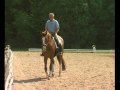 Klaus Balkenhol - from foal to Grand Prix horse. Part 3: Creating a Grand Prix Horse