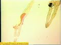 Tarzan and the Super 7 Opening