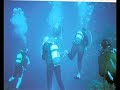 Cuba guardalavaca 2007 scubadive fishing and bucear Cuba guardalavaca 2007 scubadive fishing and bucear