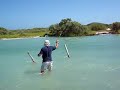 Jurel en Yucatan