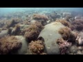 Topsail Beach Snorkeling NL
