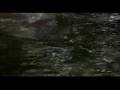 Black Water