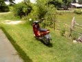 GREG IN PHIMAI (THAILAND)