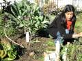 videos de The many uses of NEEM