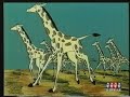 kimba il leone bianco  01 il re della giungla  parte 2 