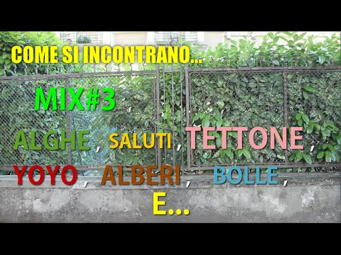 tettone
