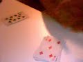 Cool card triks for my little Brother Ricky