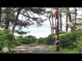 Kwisitis Visitor Centre at Pacific Rim National Park ...