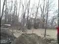 videos de bmx face plant