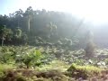 Daily commute - thailand