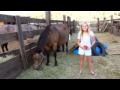 My Video