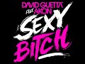 David Guetta feat. Akon - Sexy Bitch with Lyrics(HQ/Load Fast