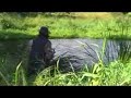 River Erne Ireland .Trout Fishing