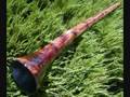 New didgeridoo E