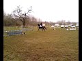 Parcours d'un trotteur français lors d'un concours de C.S.O
