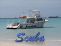 Sandals Grande Antigua Sandals Grande Antigua
