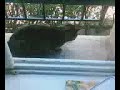 Vanille possition combat