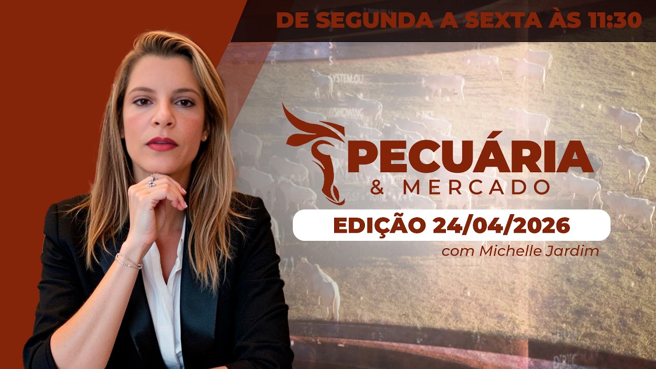PECUÁRIA E MERCADO - Boi em alerta: mercado confuso, custo virando e o que fazer para não perder...