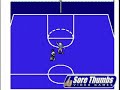 nes nintendo hoops
