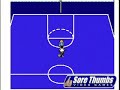 nes nintendo hoops