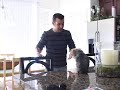 Ivan Pecel's A Day in the Life: Part 1