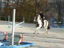 Quickstar d\ Quickstar d\