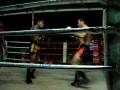 Muay Thai Smoker