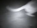 (uploaded by Warll)&nbsp;Example of IR Night Vision Vehicle Safety AV Camco
